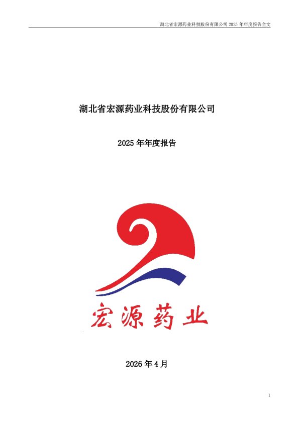 宏源药业：2025年年度报告