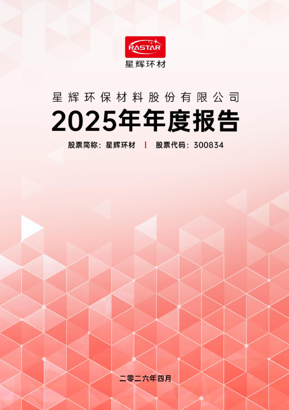 星辉环材：2025年年度报告