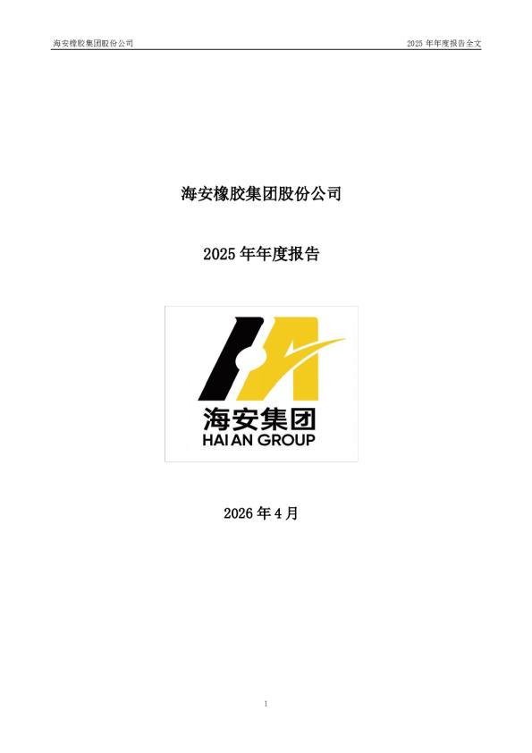 海安集团：2025年年度报告