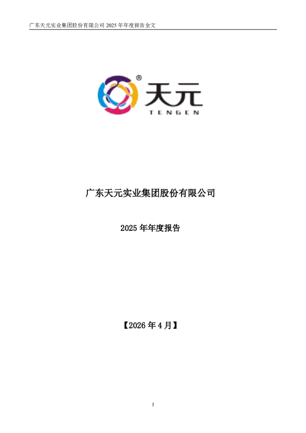 天元股份：2025年年度报告