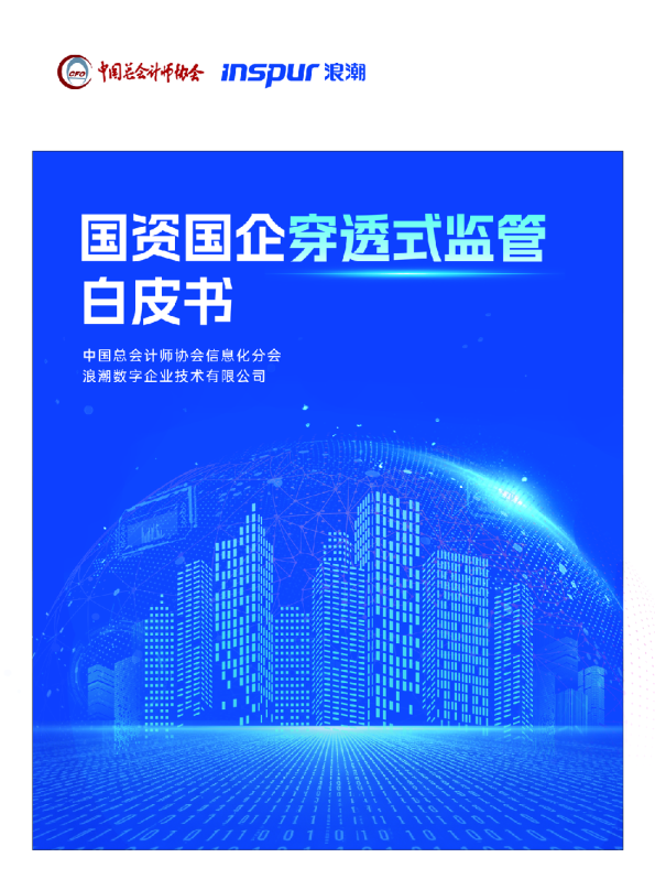 国资国企穿透式监管白皮书