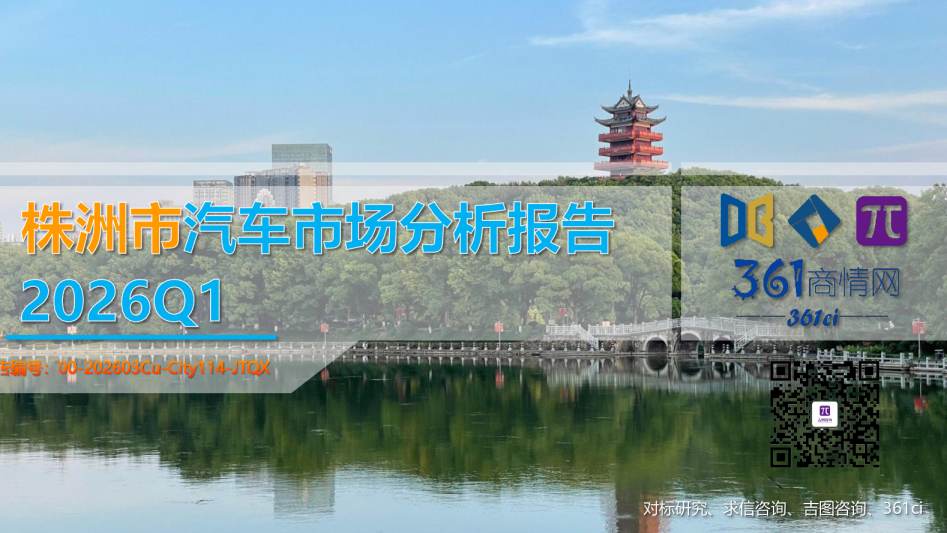 株洲市汽车市场分析报告2026Q1