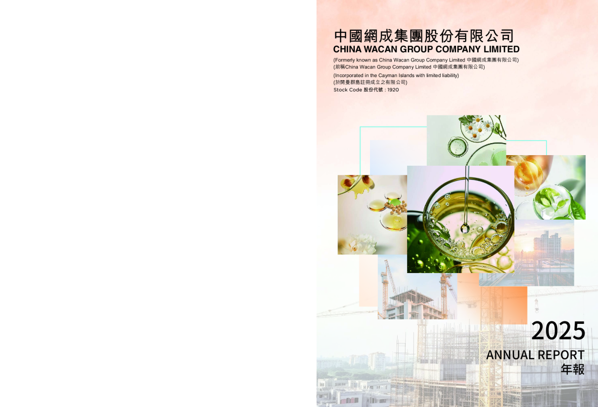 2025年报 中国网成集团股份有限公司