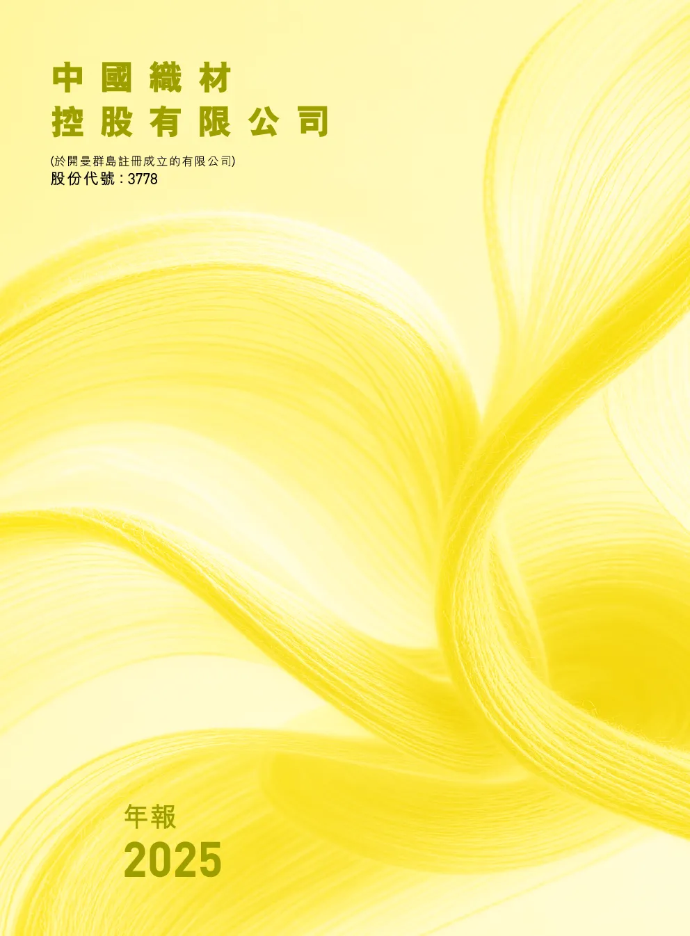 中国织材控股年报2025