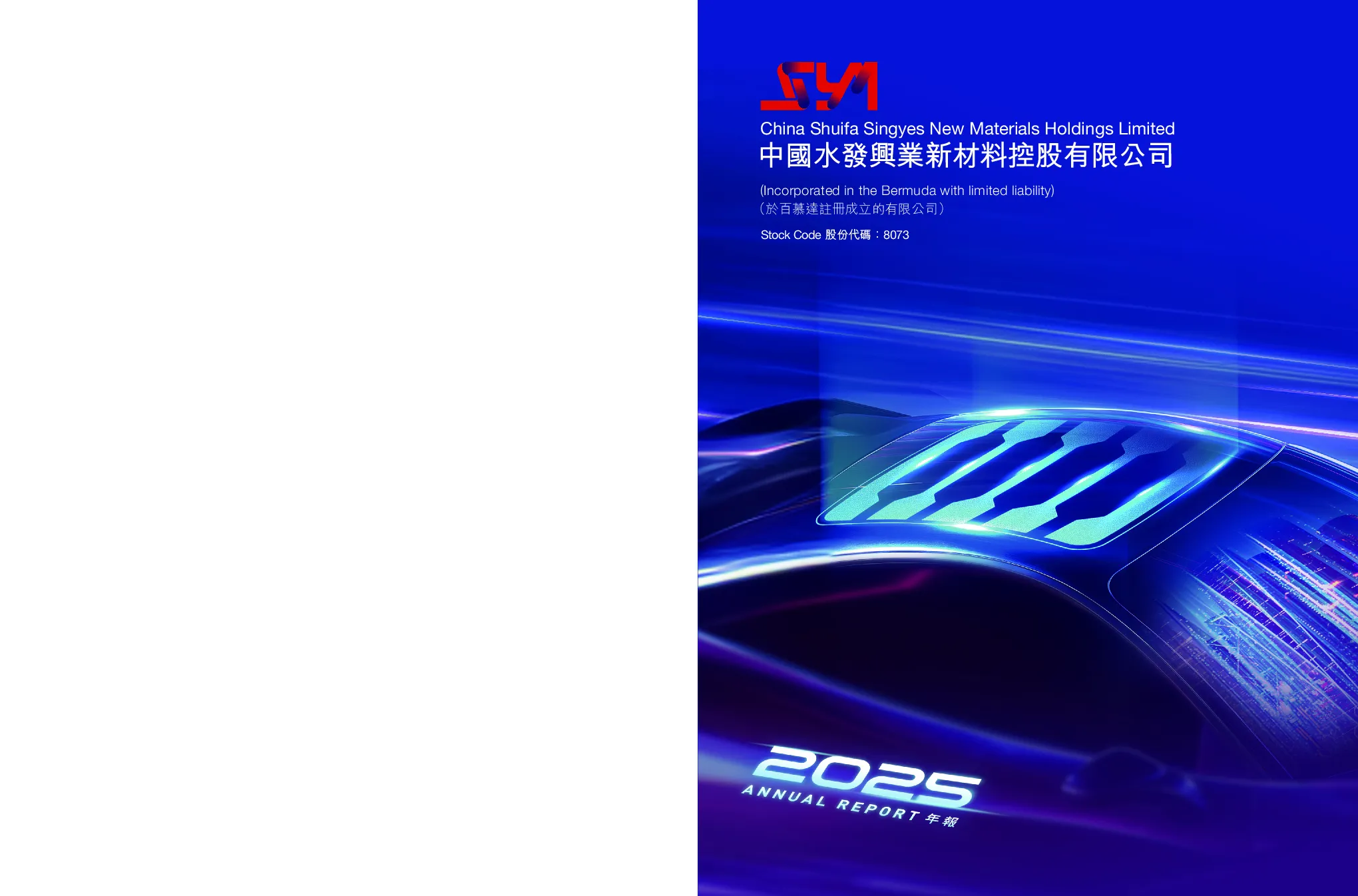 水发兴业新材料二零二五年年报