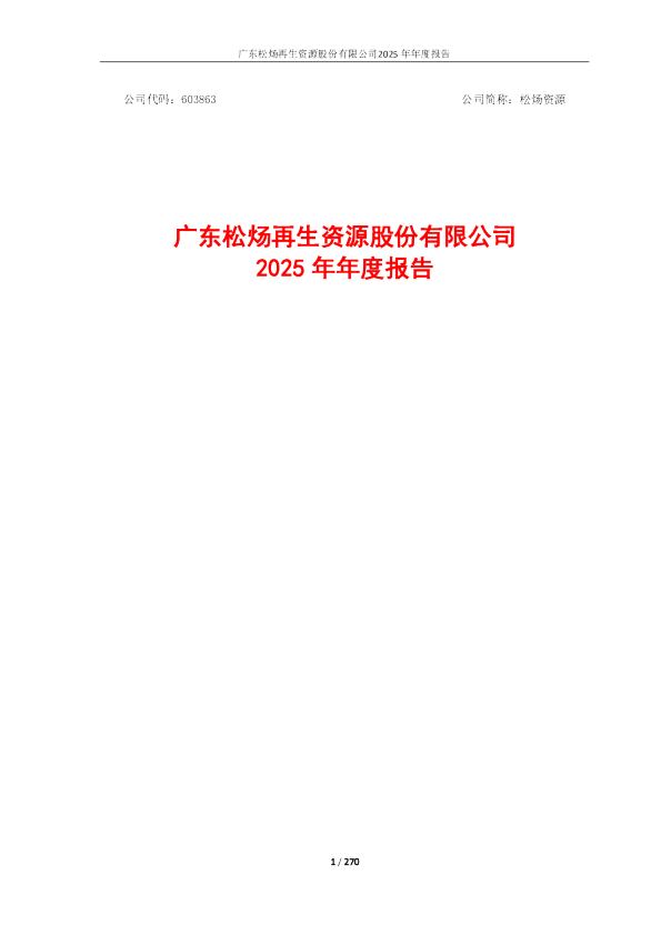 松炀资源：广东松炀再生资源股份有限公司2025年年度报告
