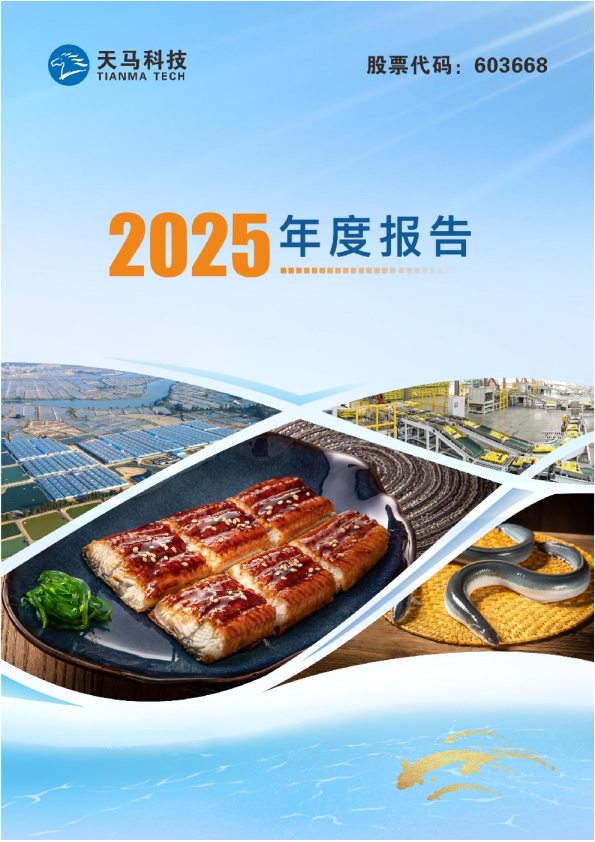 天马科技：天马科技2025年年度报告