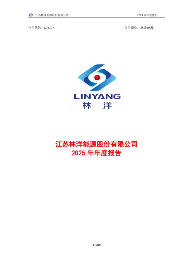 林洋能源：江苏林洋能源股份有限公司2025年年度报告
