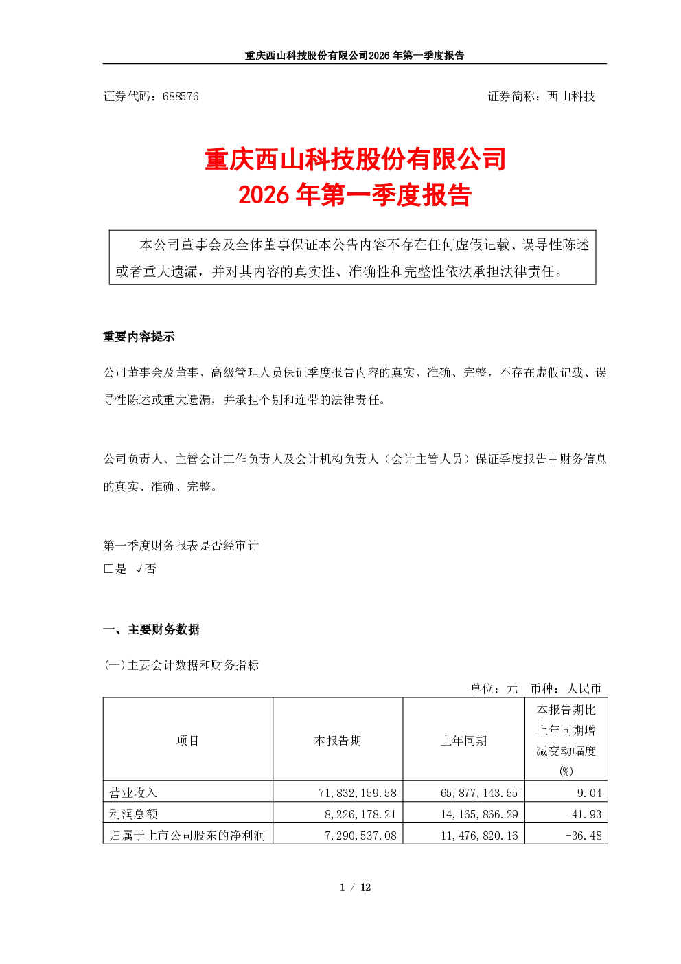 报告封面