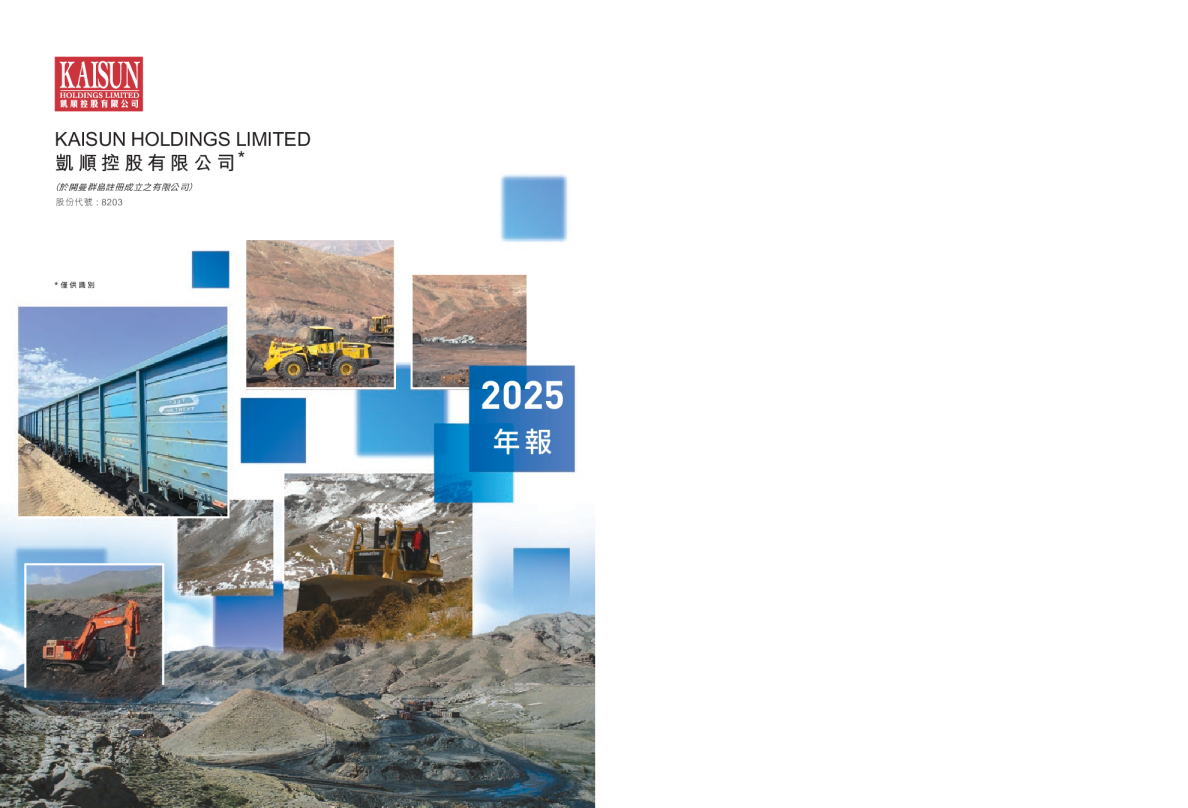 凯顺控股有限公司 年报 2025