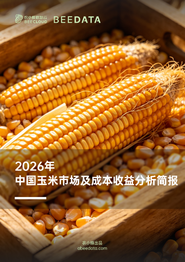 2026年中国玉米市场及成本收益分析简报