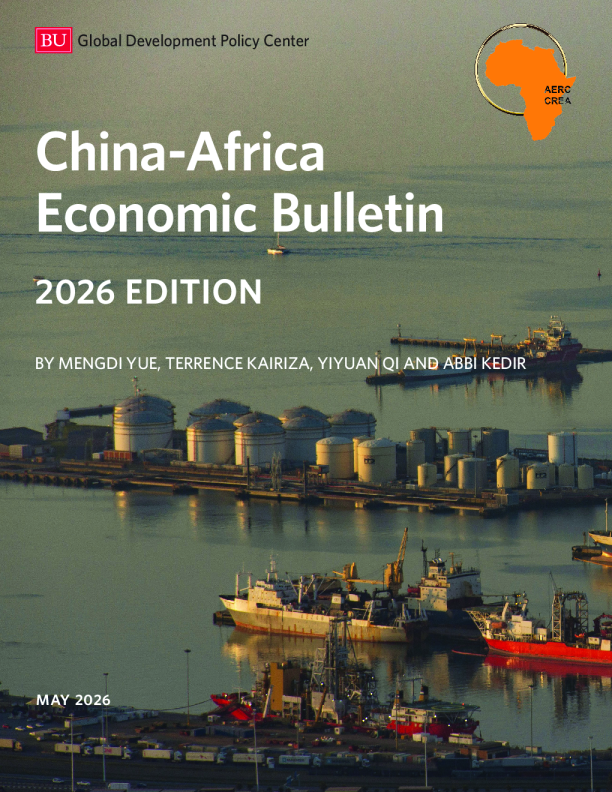 中国-非洲经济公报 2026年版