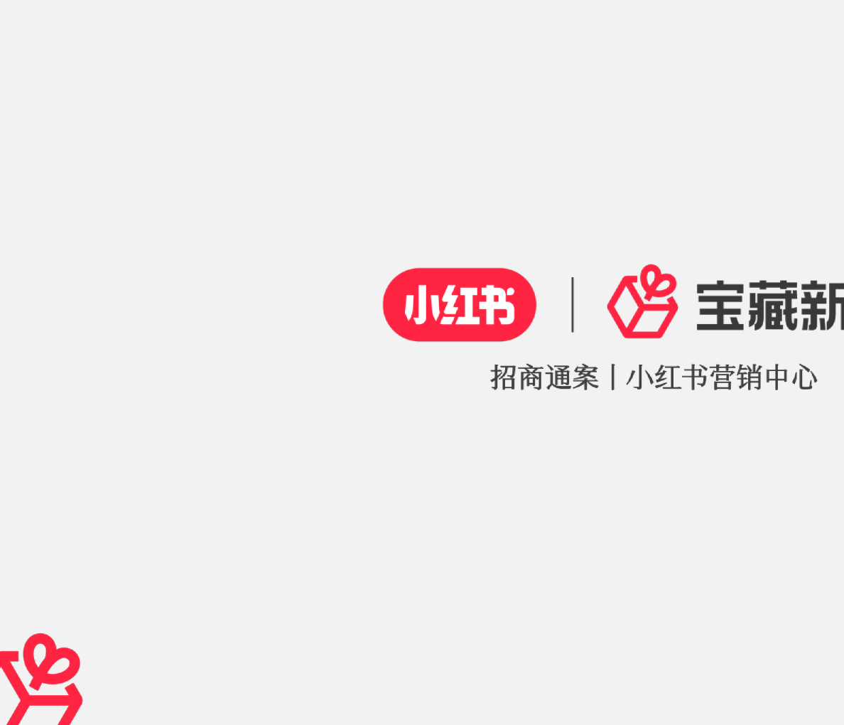 宝藏新品 招商通案