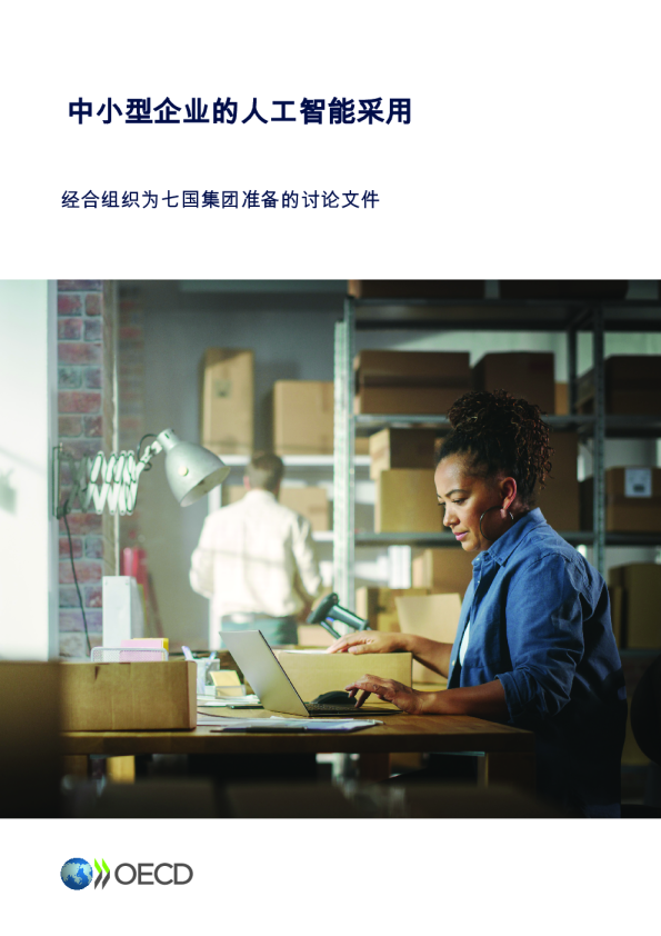 中小型企业的人工智能采用：经合组织为七国集团准备的讨论文件