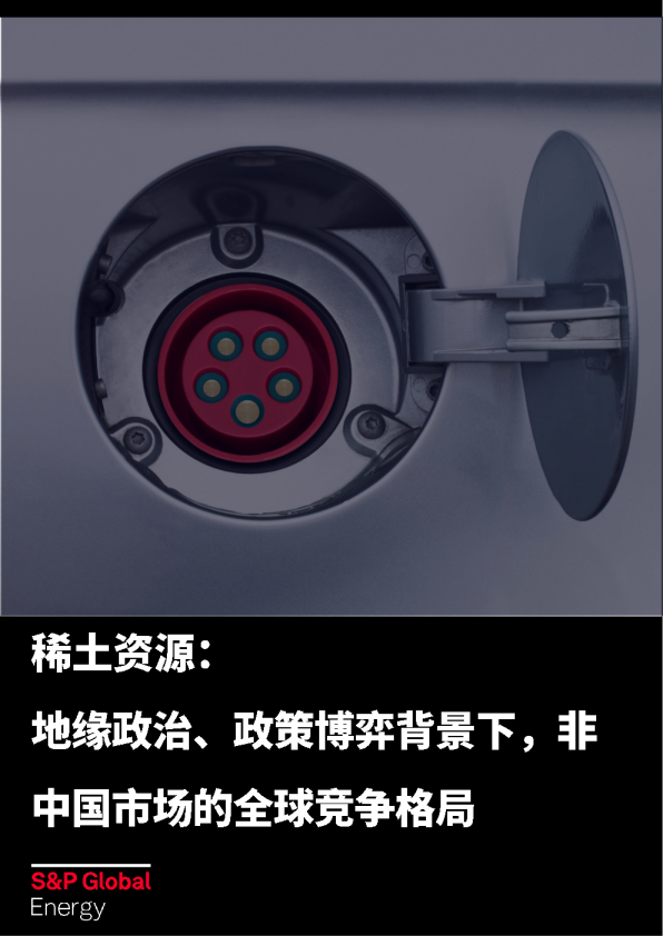 2026稀土资源地缘政治政策博弈背景下非中国市场的全球竞争格局研究报告