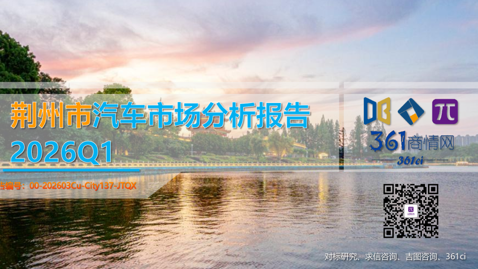 荆州市汽车市场分析报告