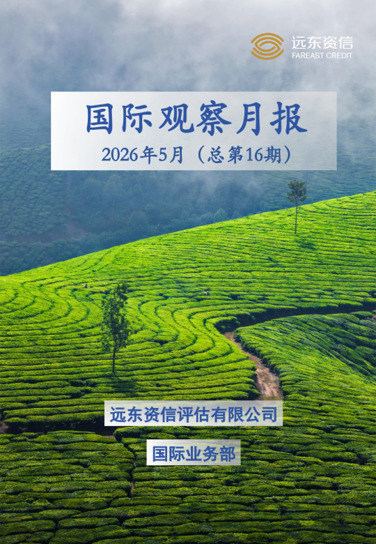 国际观察月报：2026年5月（总第16期）