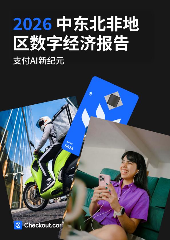 2026中东北非地区数字经济报告 支付AI新纪元