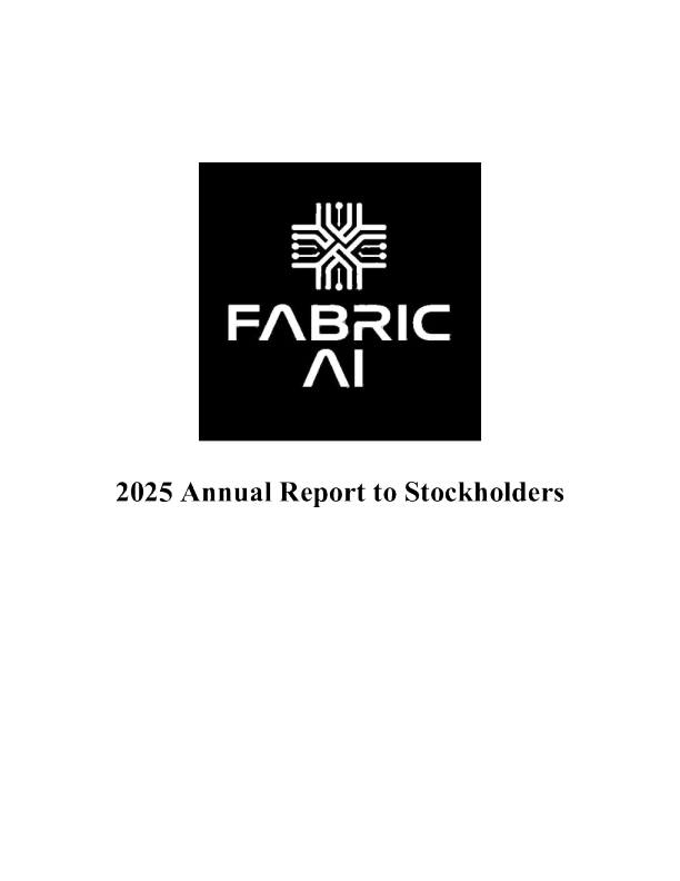 Fabric.AI Inc 2025年度报告