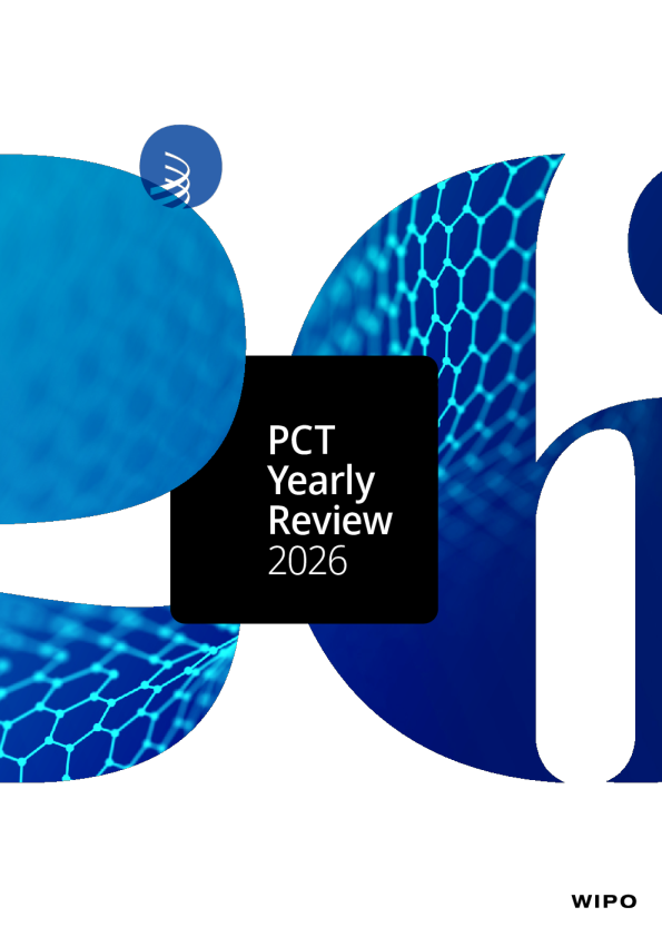 专利合作条约年度审查-2026