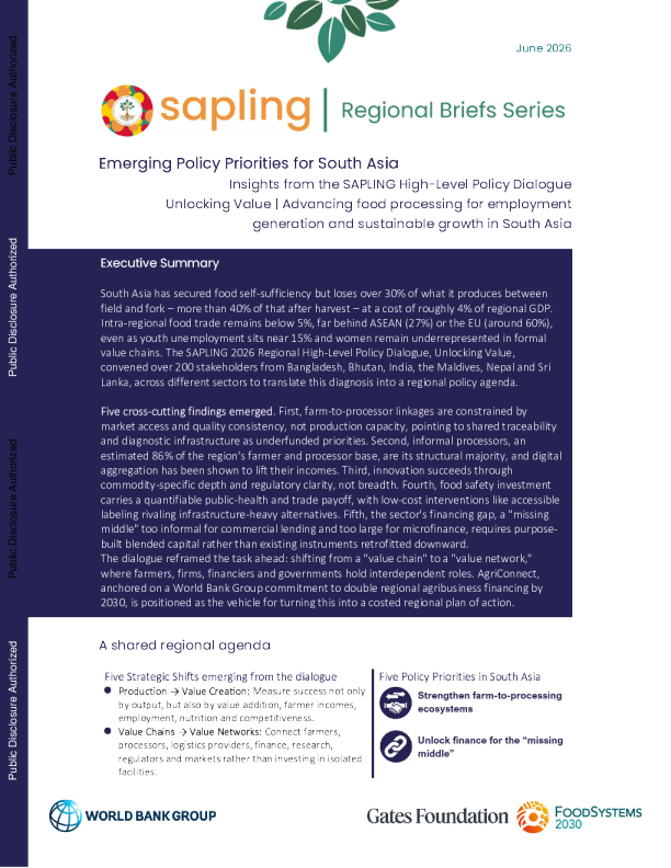 南亚新出现的政策优先事项：SAPLING高级别政策对话的见解
