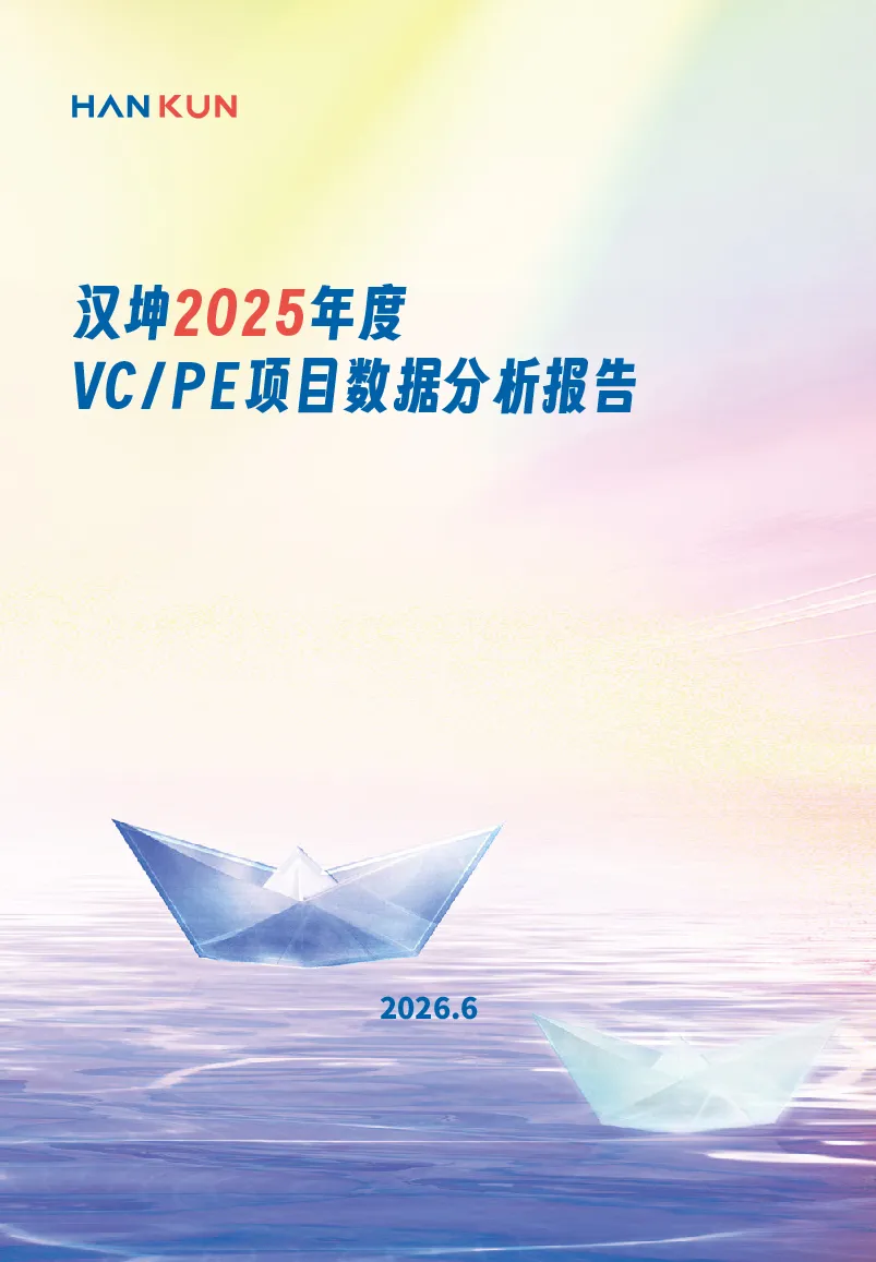 2025年度VCPE项目数据分析报告