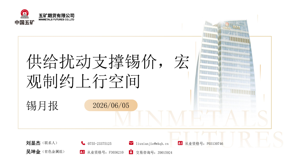 锡月报：供给扰动支撑锡价，宏观制约上行空间