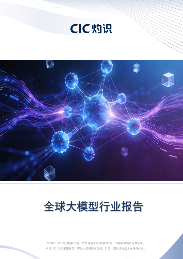 全球大模型行业报告