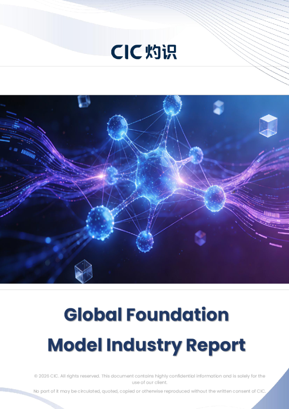 Global Foundation Model Industry Report