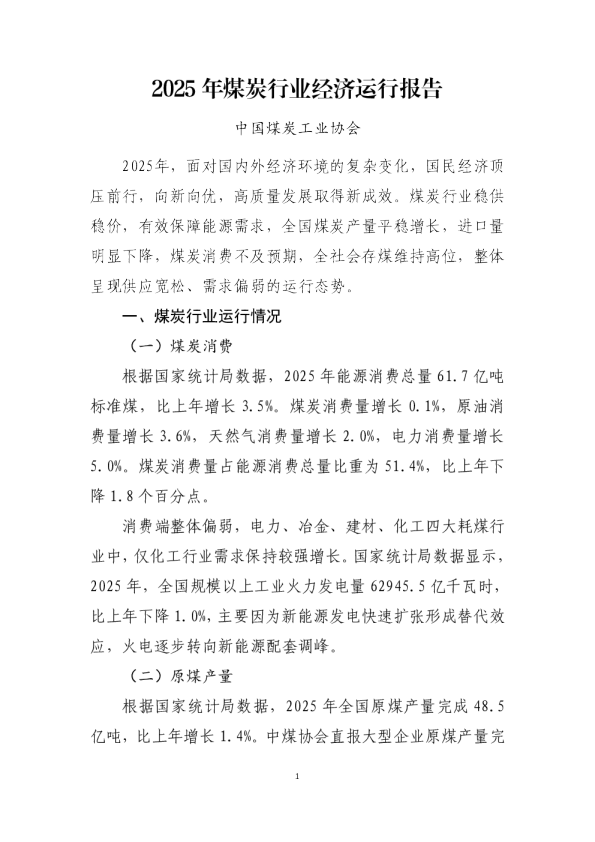 2025年煤炭行业经济运行报告