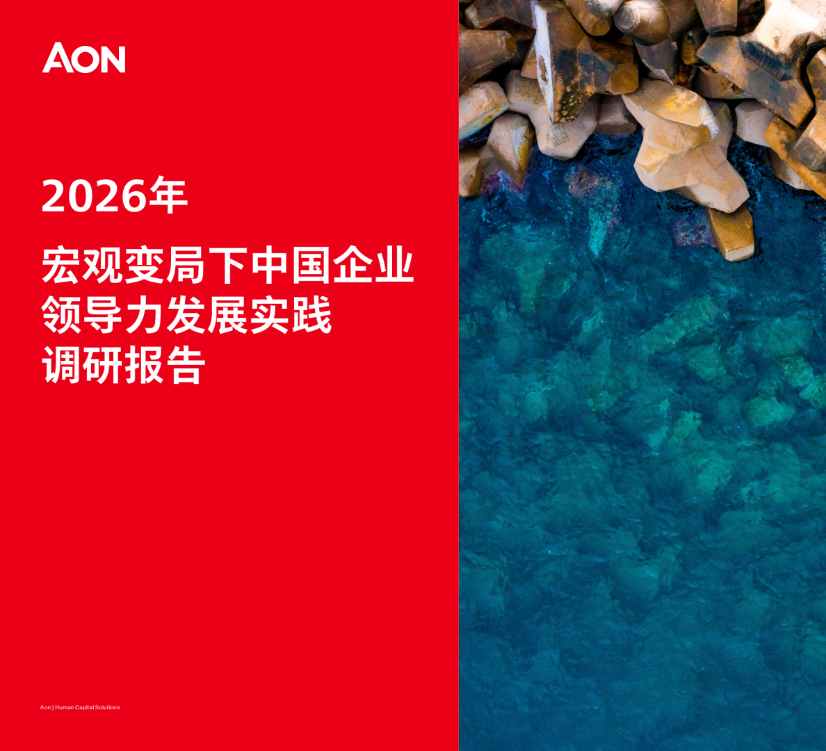 2026年：宏观变局下中国企业领导力发展实践调研报告