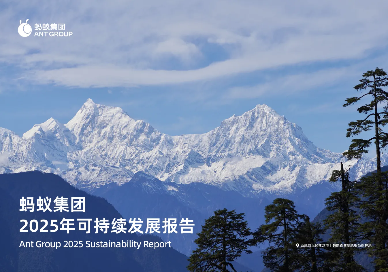 蚂蚁集团2025年可持续发展报告