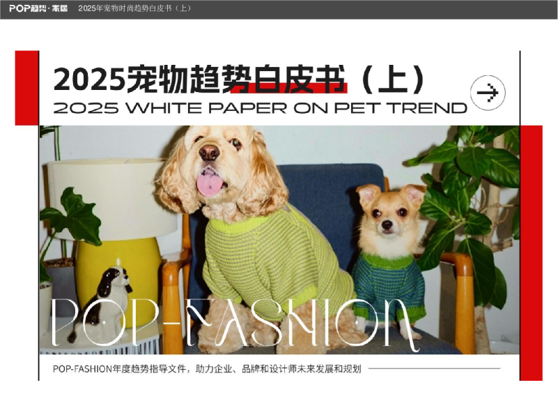 2025年宠物时尚趋势白皮书（上）