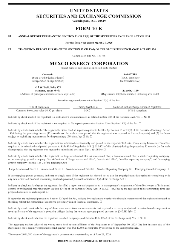墨西哥能源公司2025年度报告
