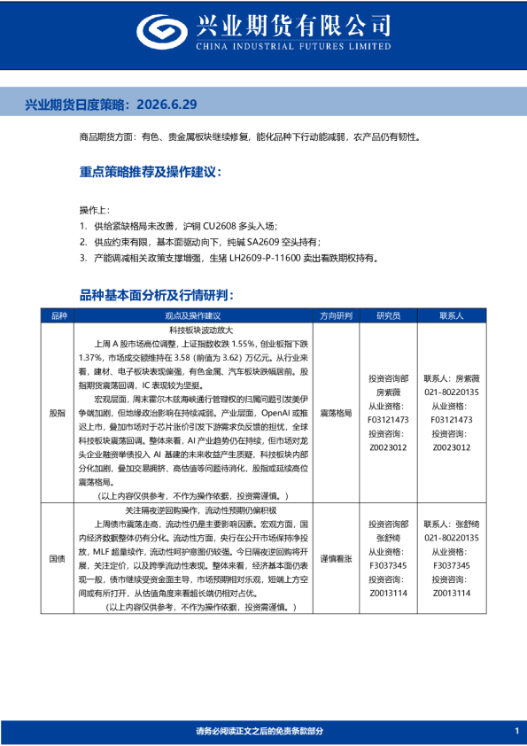 日度策略