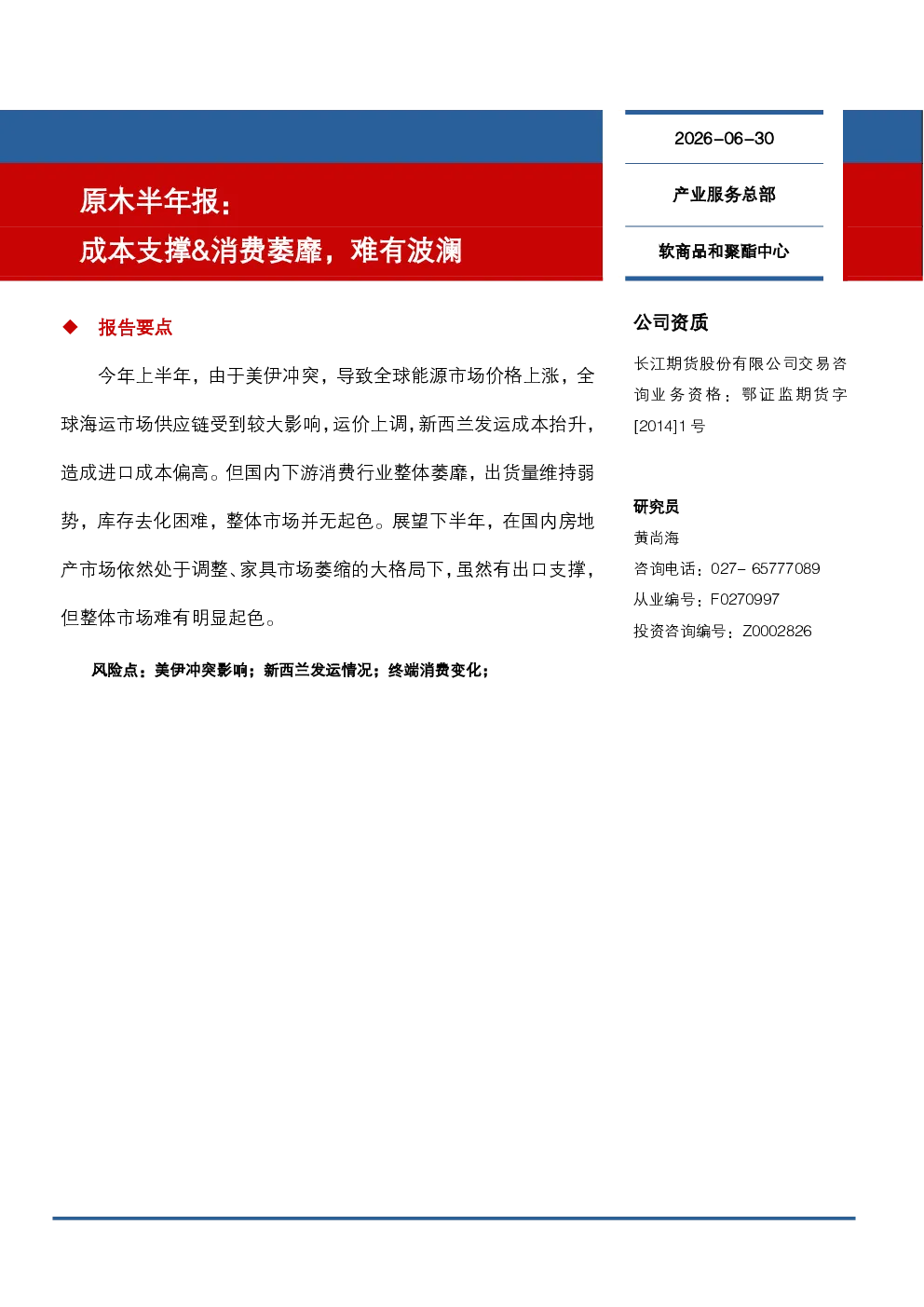 报告封面