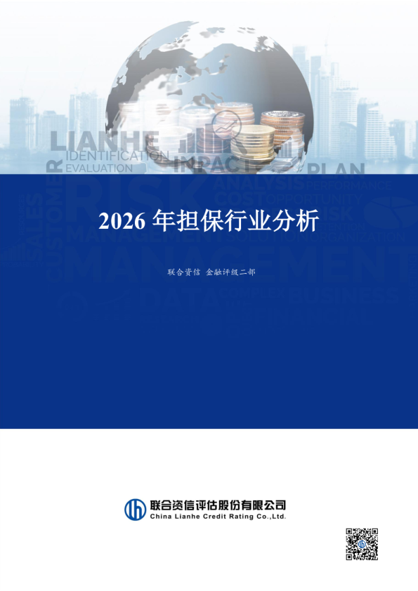 2026年担保行业分析