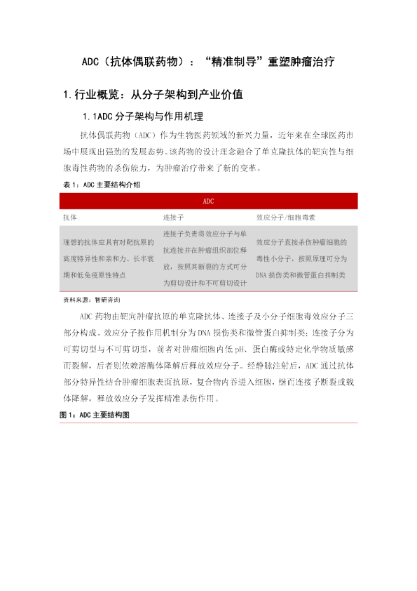 ADC（抗体偶联药物）：“精准制导”重塑肿瘤治疗