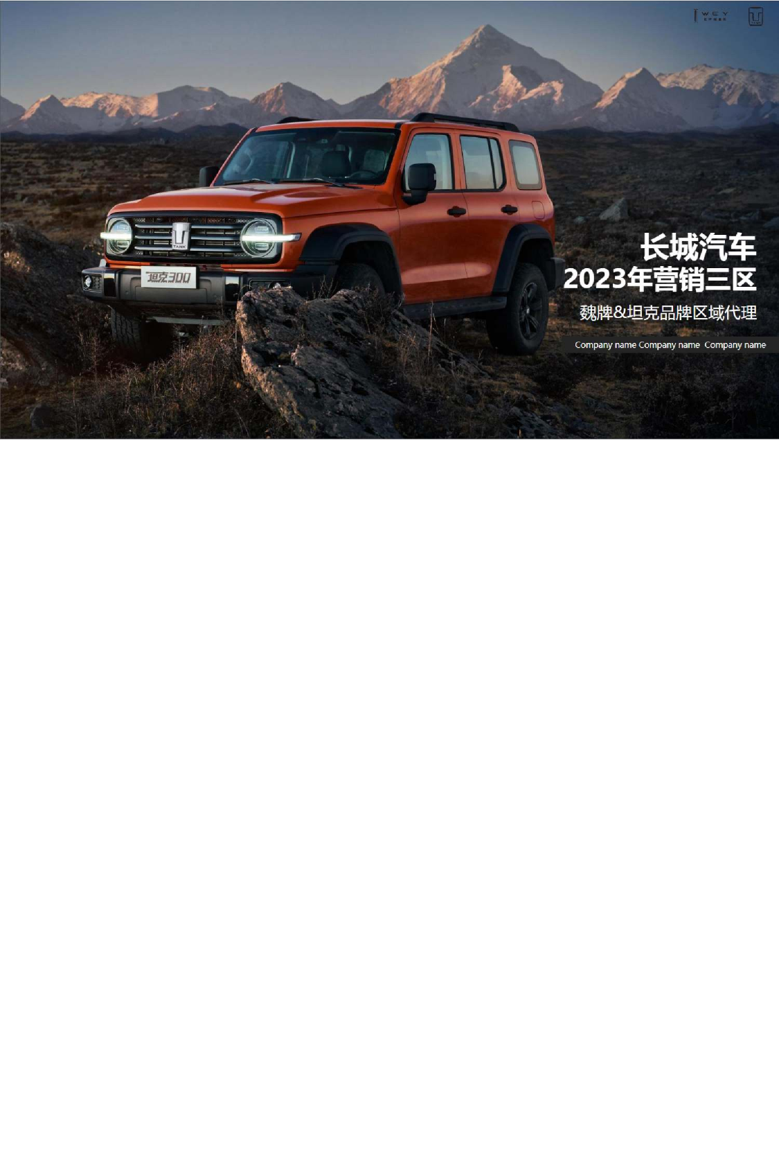 国产汽车品牌年度双品牌营销全案