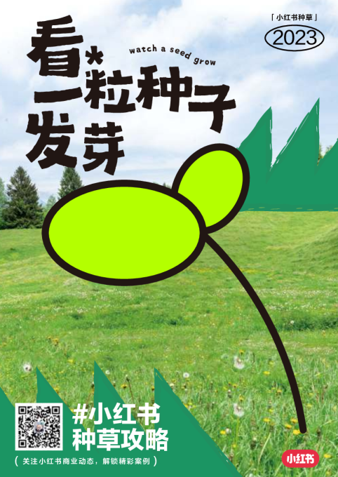 小红书：小红书种草攻略-看一粒种子发芽
