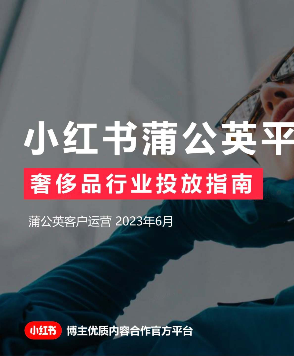 蒲公英奢品行业投放指南