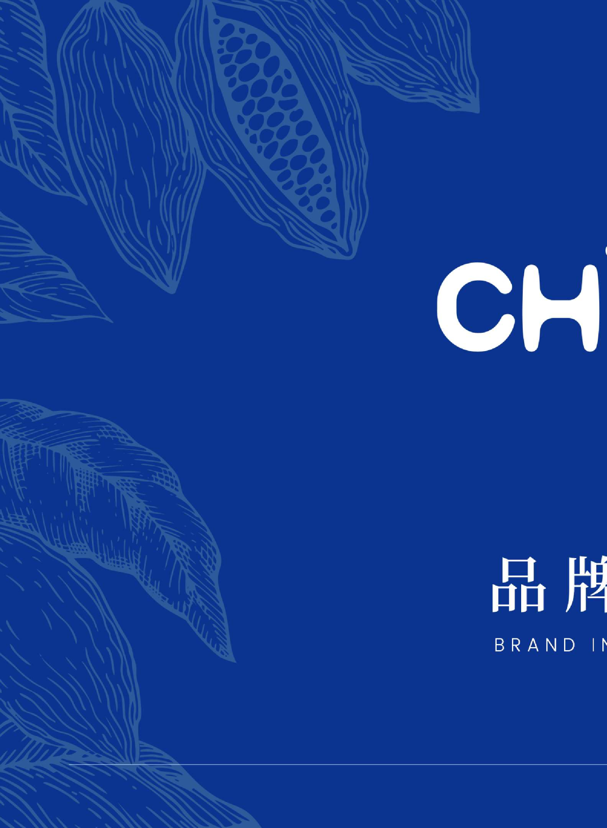 黑巧零食制品巧兮兮品牌介绍手册