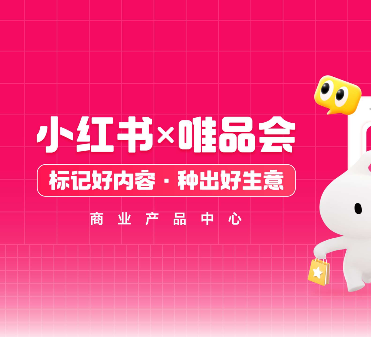 【小红链】小红书X唯品会playbook