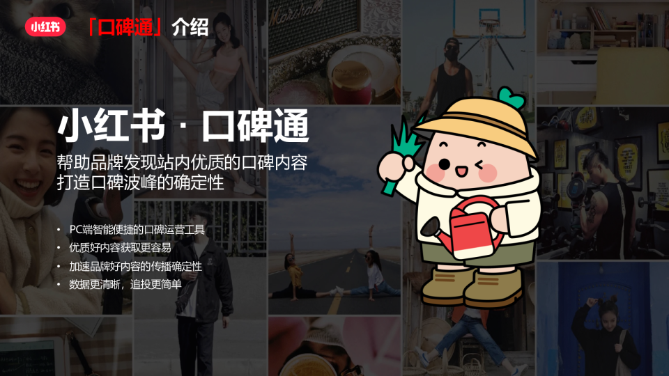 小红书口碑通产品介绍