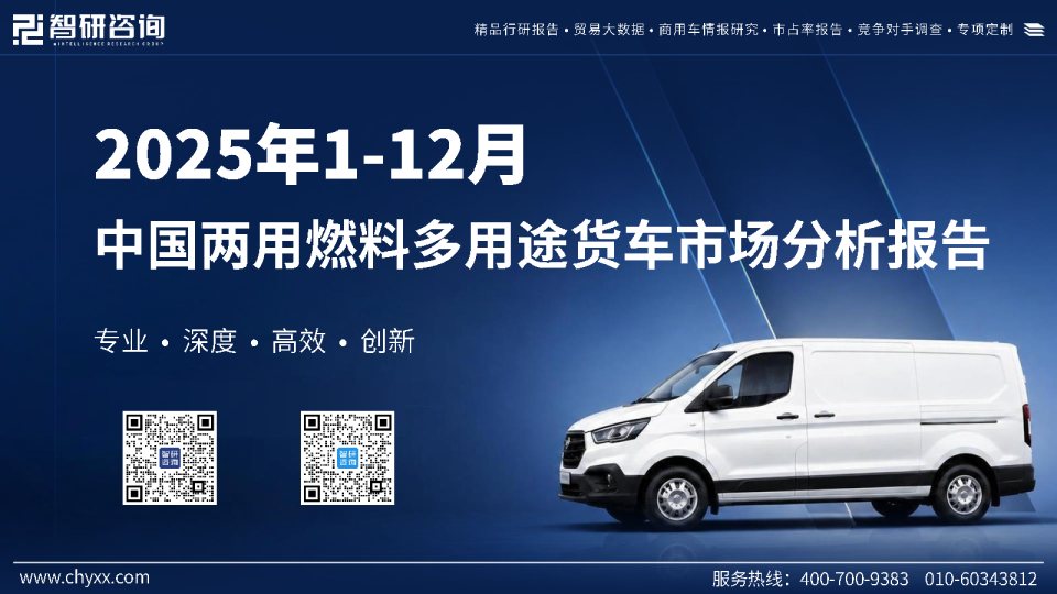 2025年1-12月中国两用燃料多用途货车市场分析报告