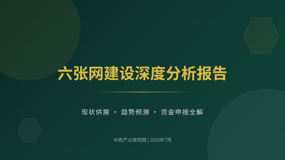 六张网建设深度分析报告