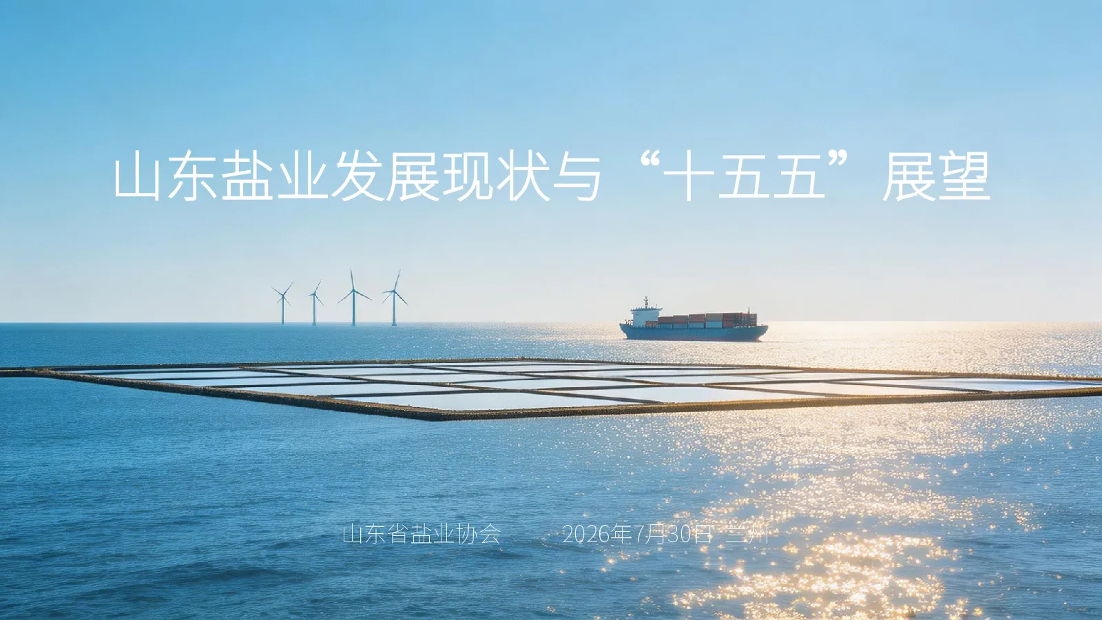 山东盐业发展现状与“十五五”展望