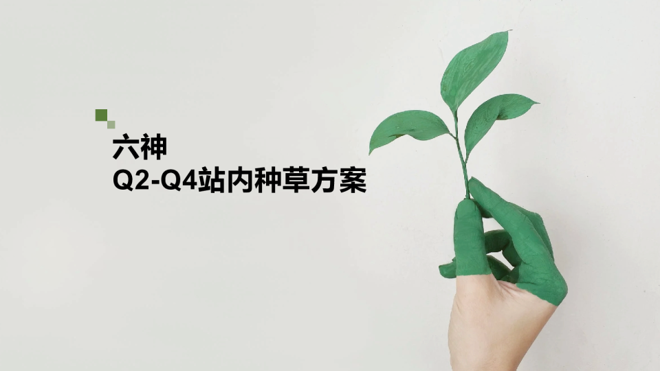 快消零售个护品牌Q2-Q4站内种草方案【种草营销】【社媒推广】