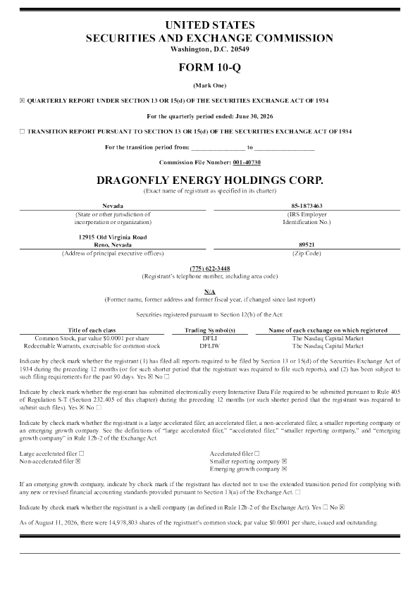 龙蜻蜓能源控股公司2026年季度报告