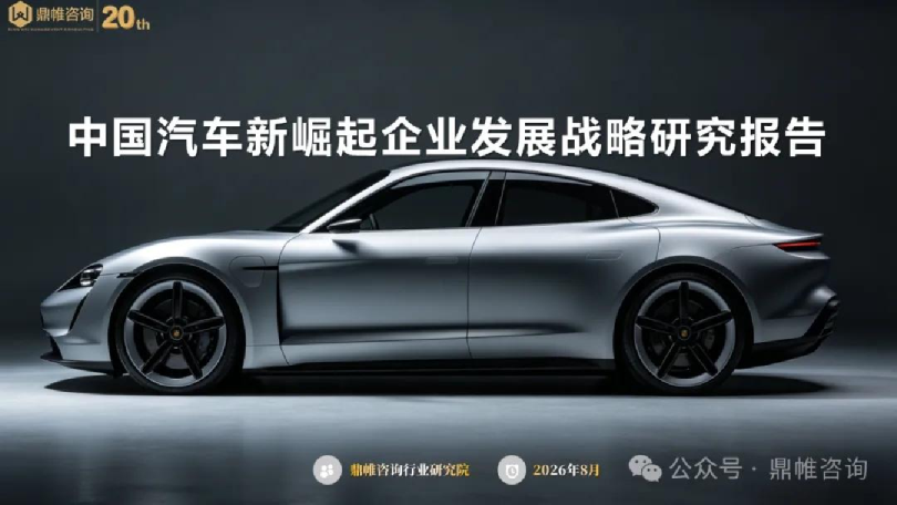中国汽车新崛起企业发展战略研究报告